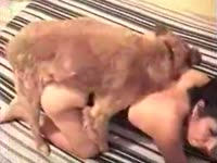 Brunette chick got pounded in doggystyle position by dog xxx